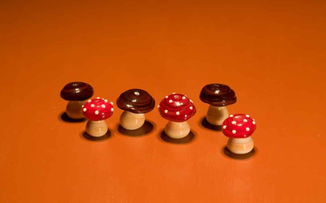 magic mushroom